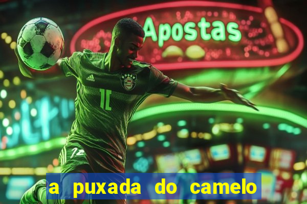 a puxada do camelo no jogo do bicho